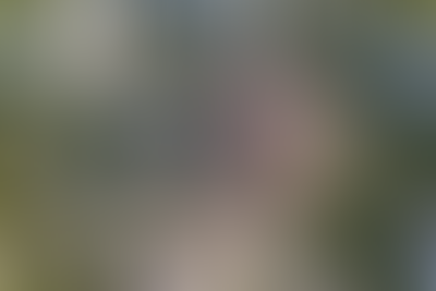 Изображение генплана