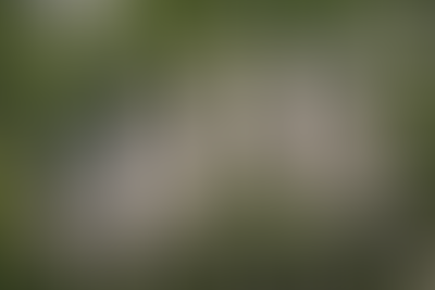 Изображение генплана