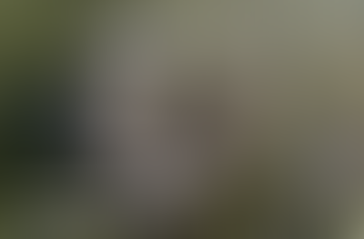 Изображение генплана