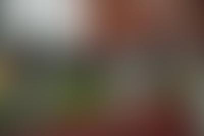 Изображение публикации