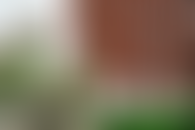 Изображение публикации