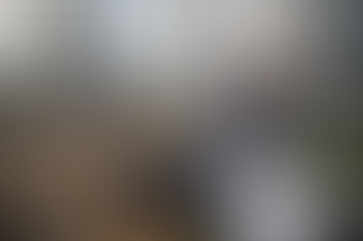 Изображение галереи