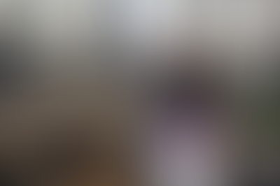 Изображение галереи